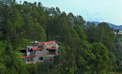 Frosted Forest – Sukh Room