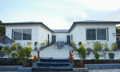 Orange Grove